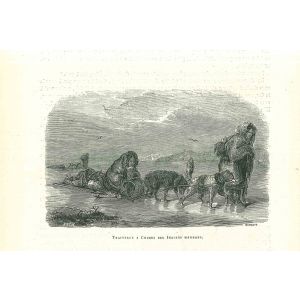 The Eskimos
