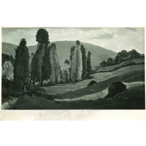 Photograph of a Painting by Beppe Guzzi
