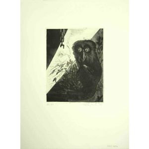 The Owl