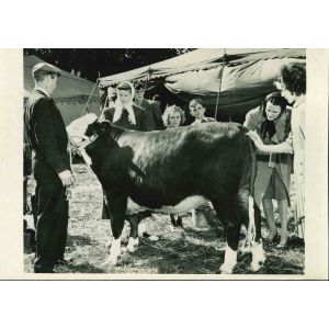 County Fair - American Vintage Photograph