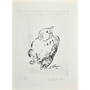 Pigeon