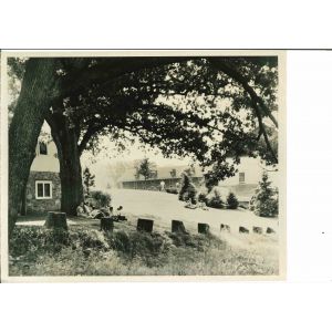 Cooper Union - American Vintage Photograph