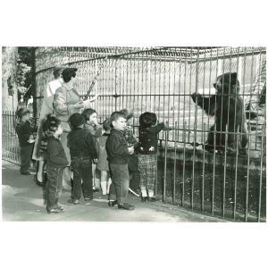 Play School - American Vintage Photograph
