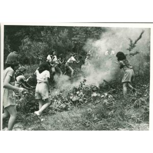 Junior Volunteers - American Vintage Photograph 