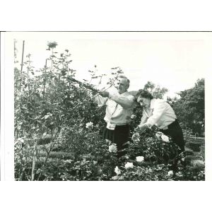 Casey Stengel - American Vintage Photograph