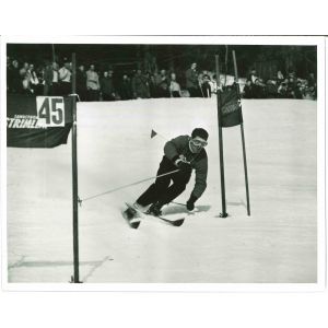 Stein Erikeen
