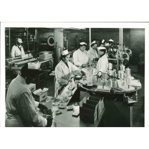 Four Factors - American Vintage Photograph