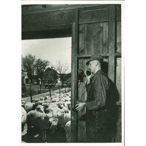 Telephone System - American Vintage Photograph