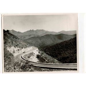 Pan-American Highway