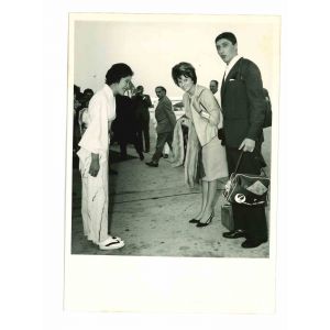 Portrait of Miranda Martino - Vintage Photo 