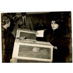 Vintage Portrait of Anna Magnani