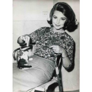 Sylva Koscina - Vintage Photo