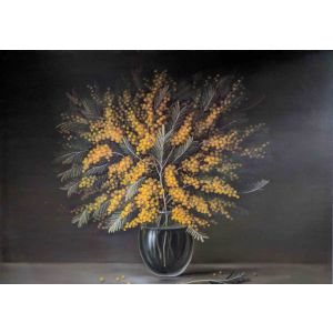Mimosa 4