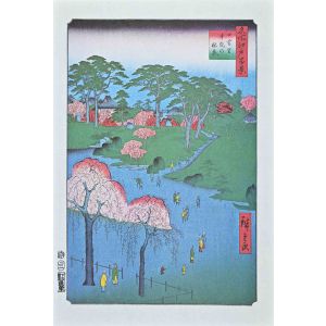 Temple Gardens in Nippori 