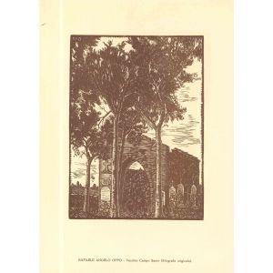 Rafaele Angelo Oppio - Vecchio Campo Santo (Old Cemetery) - Modern Artwork