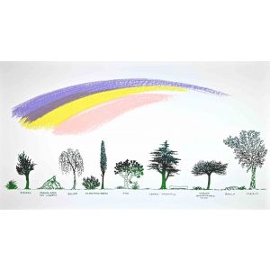 Un Viale di Alberi Diversi (A Driveway of Different Trees)
