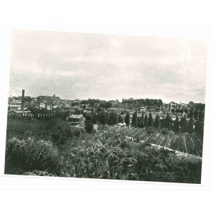 View Of Rome - Vintage Photograph    