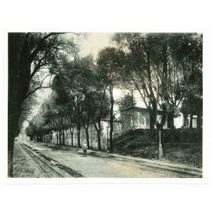 View Of Rome - Vintage Photograph 