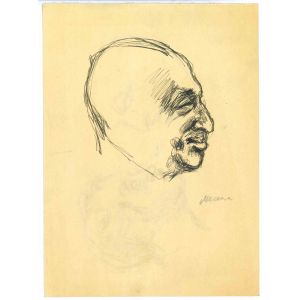 The Profile 