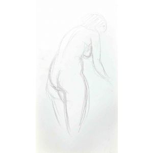 The Posing Nude  