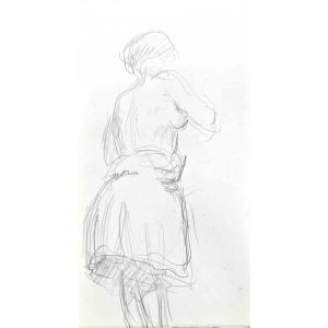The Posing Nude  
