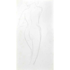 The Posing Nude  from Back
