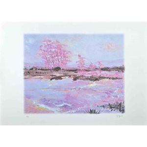 Pink Blossoms  