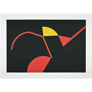 The Red and Yellow Structures
