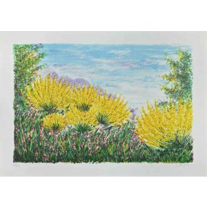 Gorse