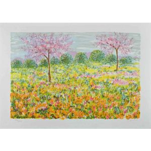 The Spring