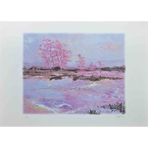 Pink Blossoms   