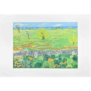 Meadow in Spring