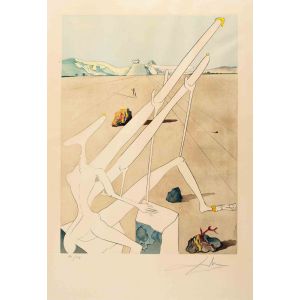 Plate from 