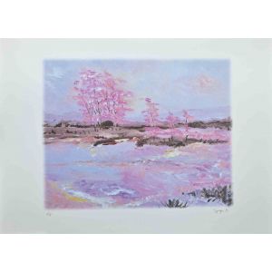Pink Blossoms