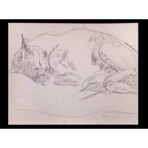 Sleeping Cat 