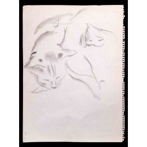 Sleeping Cats