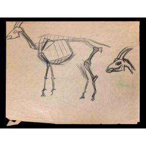The Goat Skeleton