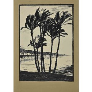 Palm Trees