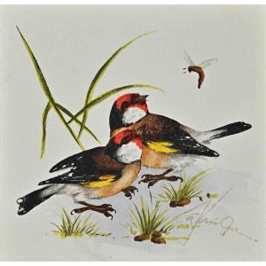 Birds