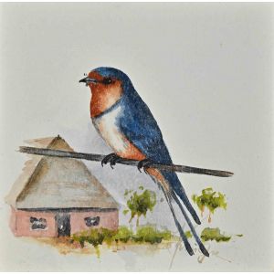 Bird