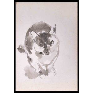 Lovely  Cat 