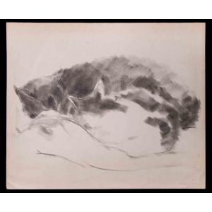 Sleeping Cats 