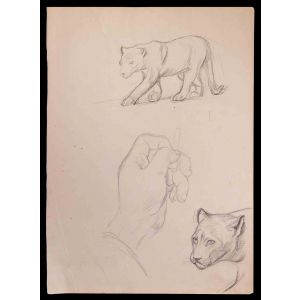 Felines