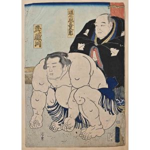 Sumo Fighter
