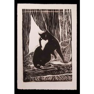 Black Cat by the Window