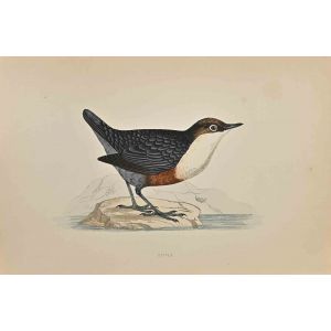 Dipper
