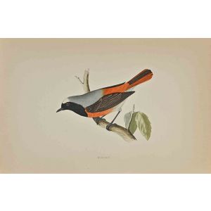 Redstart