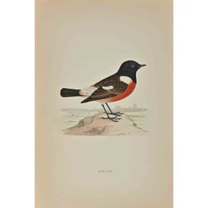 Stonechat