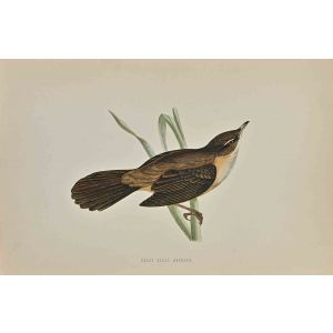 Great Sedge Warbler