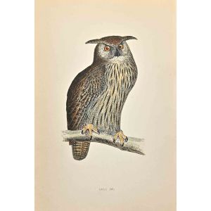 Eagle Owl